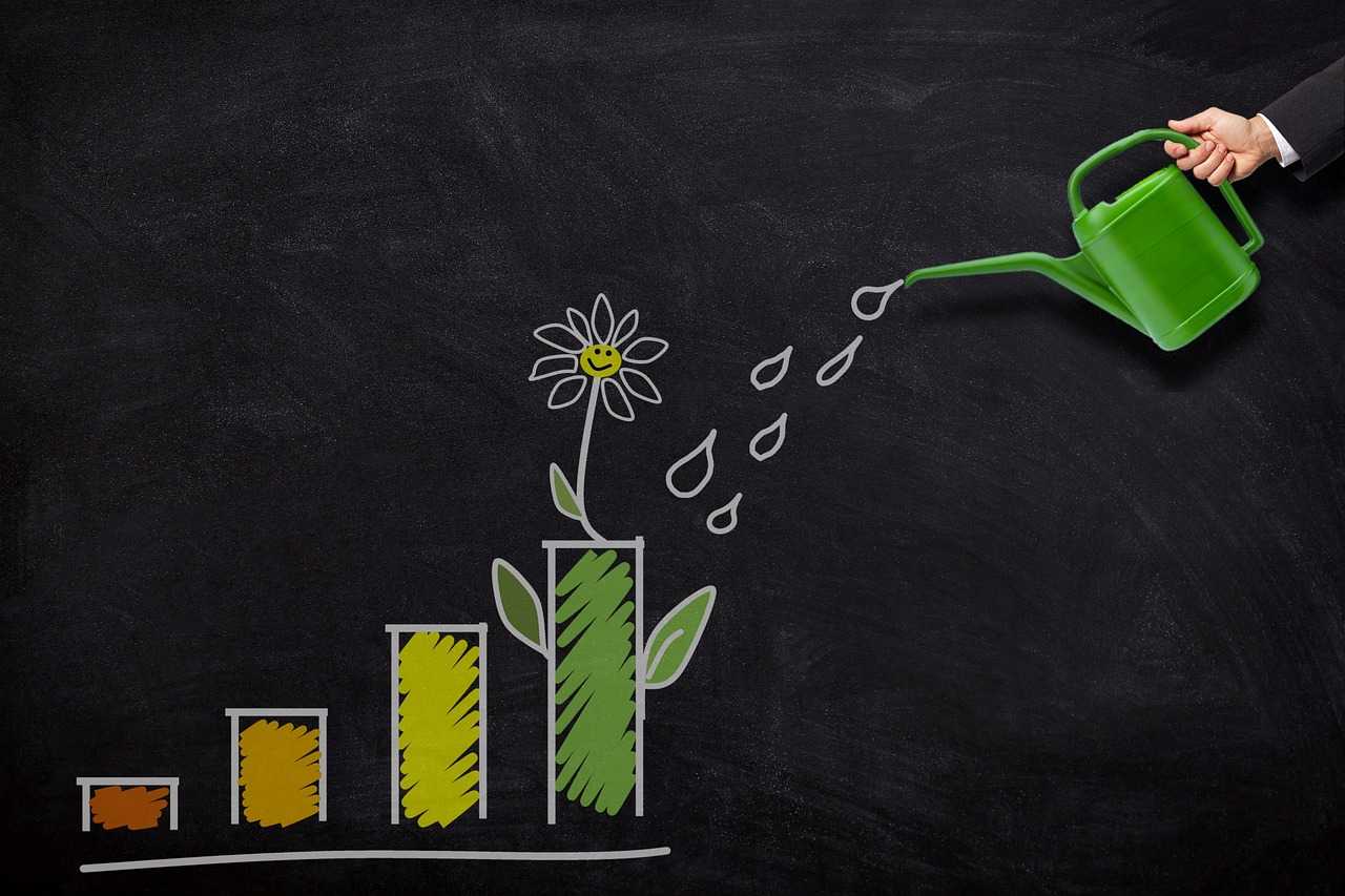 investment, growth, watering, can, money, finance, business, nature, wealth, profit, savings, increase, plant, investment, investment, investment, investment, investment, increase, increase