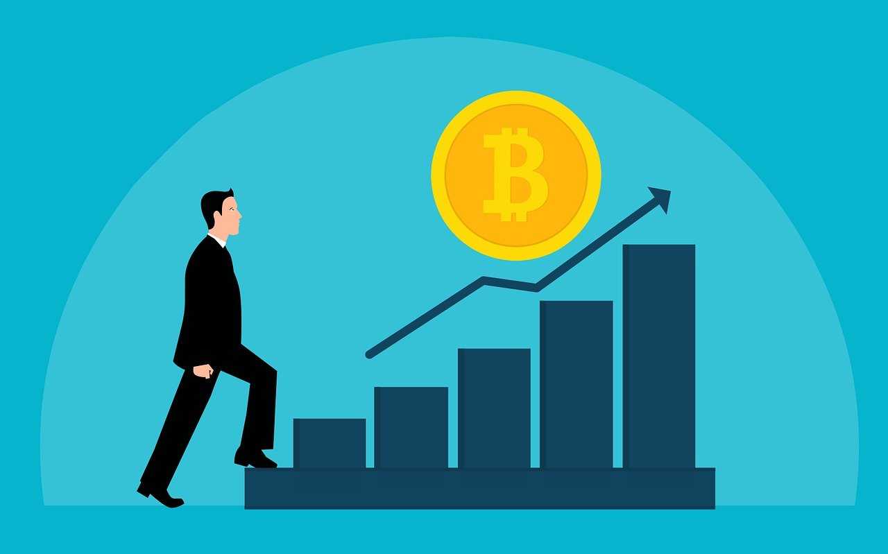 bitcoin, investment, business, profitability, chart, success, finance, diagram, currency, cryptocurrency, money, graph, coin, market, btc, organization, economy, achievement, growth, profit, exchange, company, bitcoin, bitcoin, bitcoin, bitcoin, bitcoin, cryptocurrency, cryptocurrency, cryptocurrency, cryptocurrency