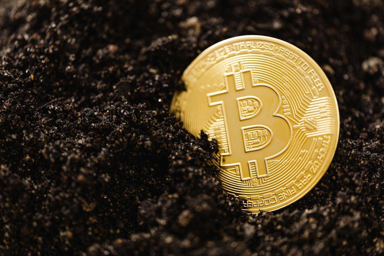 Close-up of a golden Bitcoin coin partially buried in soil, illustrating digital currency mining concept.